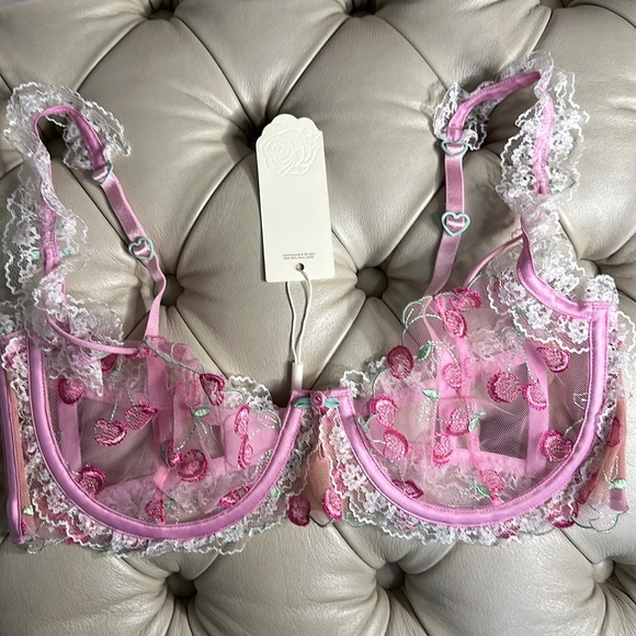 🍒NWT For Love & Lemons Pink Cherries Underwire Bra Size M🍒 - Picture 10 of 14